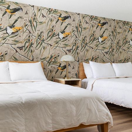 The Windmoor Lodge Grayling Quarto foto