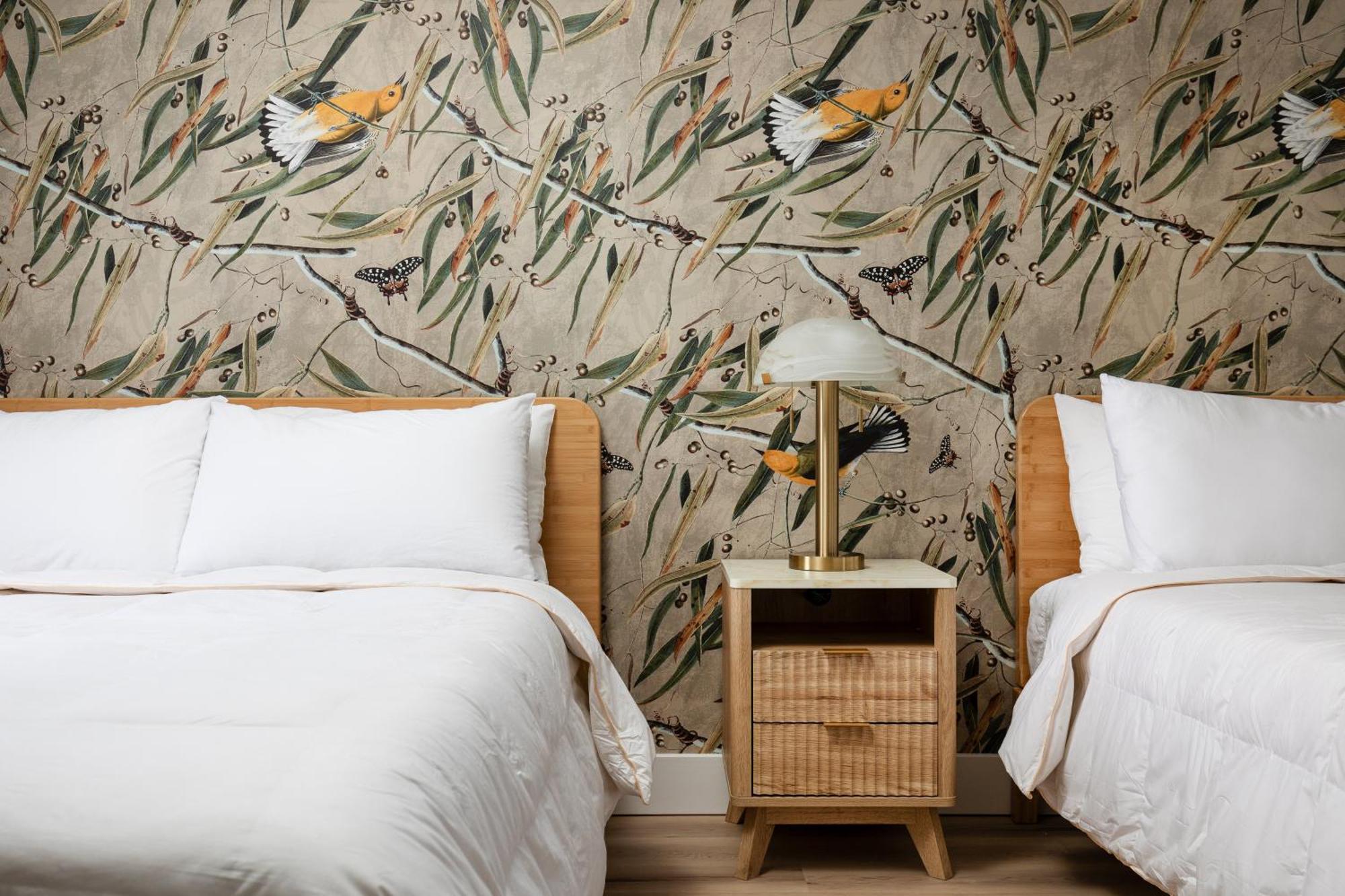 The Windmoor Lodge Grayling Quarto foto
